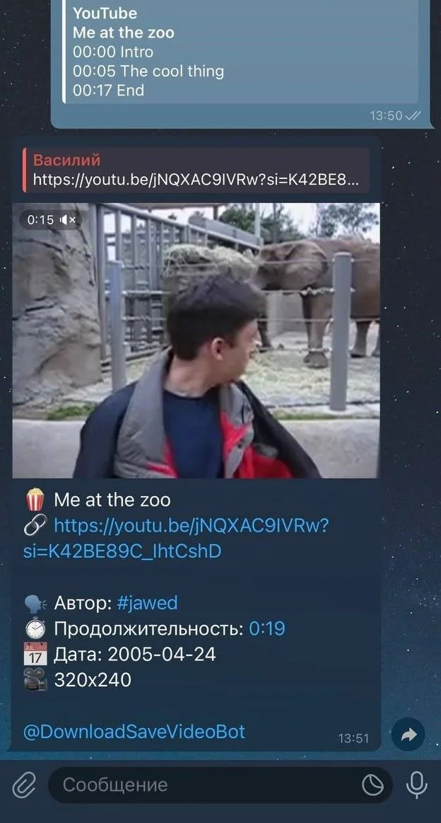 Download Save Video Bot — Preview 2