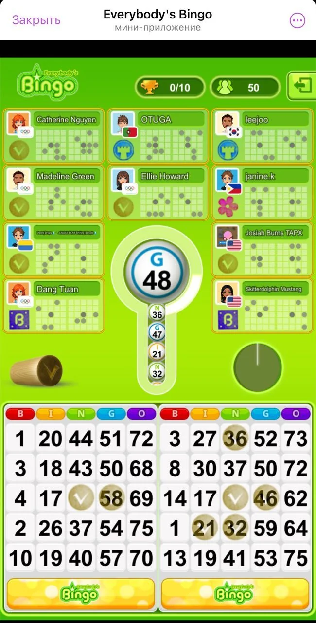 Everybody's Bingo — Preview 1
