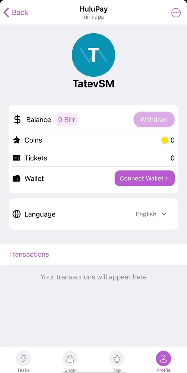 HuluPay  — Preview 4