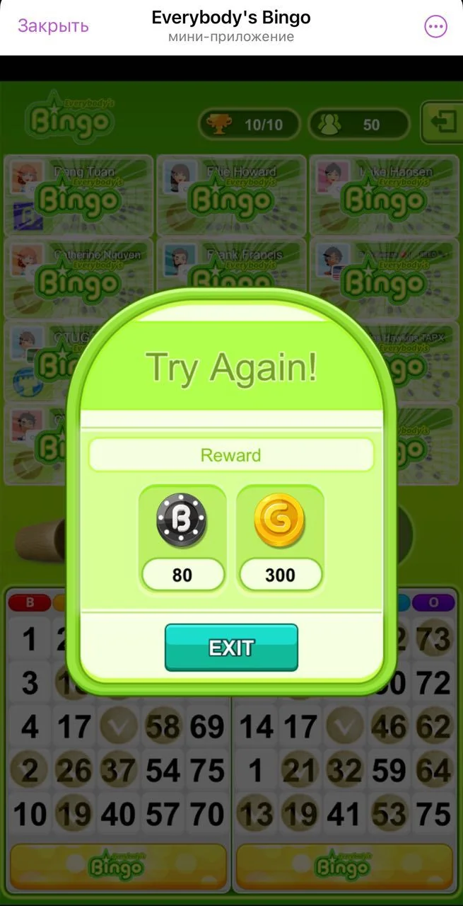 Everybody's Bingo — Preview 5